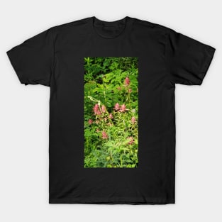 Indian Paintbrush T-Shirt